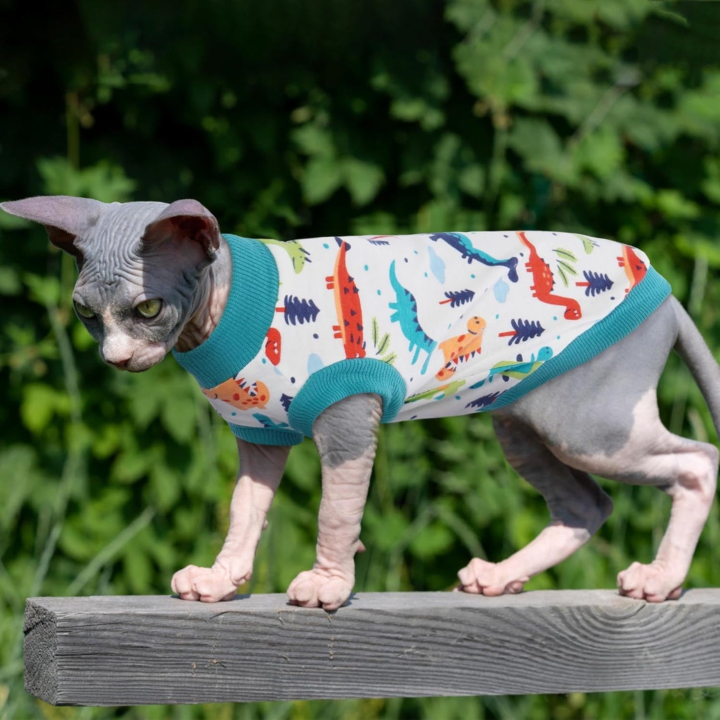 PUMYPOREITY Sphynx Cat Clothes: Soft, Stretchy Pullover Pajamas & Turtleneck for Hairless Cats, Blue