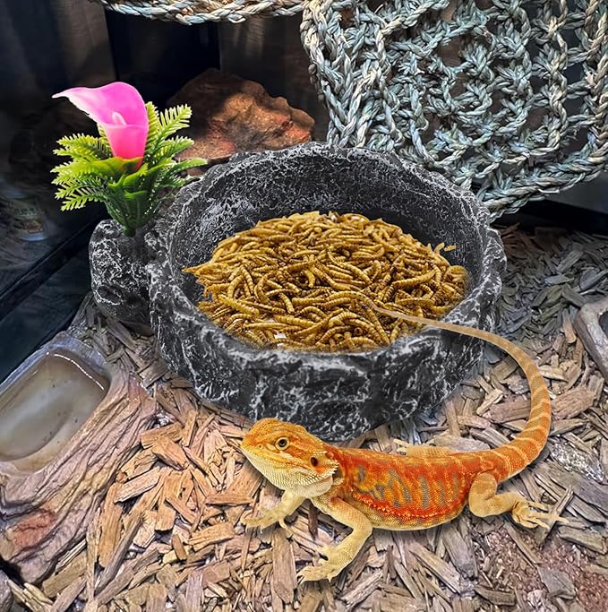 Reptile Food Dish,Rock Reptile Terrariums Water Dish, Water and Food Bowls Lizard Water Bowl for Leopard Gecko, Tree Frog, Snake, Crested Gecko, Frog