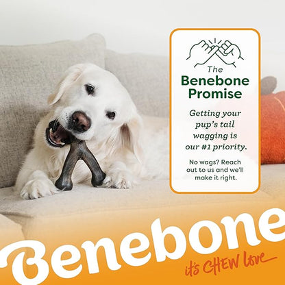 Benebone Pumpkin Spice Wishbone – Limited Edition Flavor, Durable Dog Chew Toy for Aggressive Chewers, Made in USA, Large