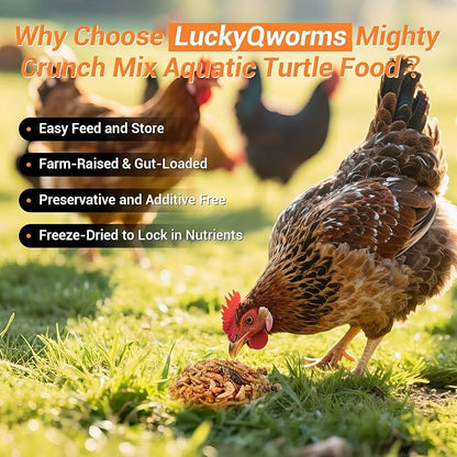 Mighty Crunch Mix Aquatic Turtle Food - 1 Lbs Resealable Bag of High Protein Insect Blend, Dried Mealworms, River Shrimp, Crickets - for Turtles, Reptiles & Amphibians, Chicken, Birds