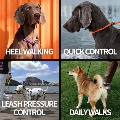 Dog Anti-Slip Leash 5FT with Metal Stopper - Durable No-Pull Training Lead for Small, Medium & Large Dogs - Comfortable Handle Nylon Rope, Tangle-Free Pet Walking Leash (Black, 5 FT)