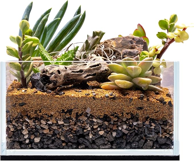 UNS Ultra Clear Rimless Tank - 0.5GAL | 2L - 6.29x6.29x3.14 | 16x16x8 CM, 5mm Glass Thickness, Leveling Mat Included - Low Iron, High Clarity Fish Tank w/ 45° Mitered Edge - [16S]