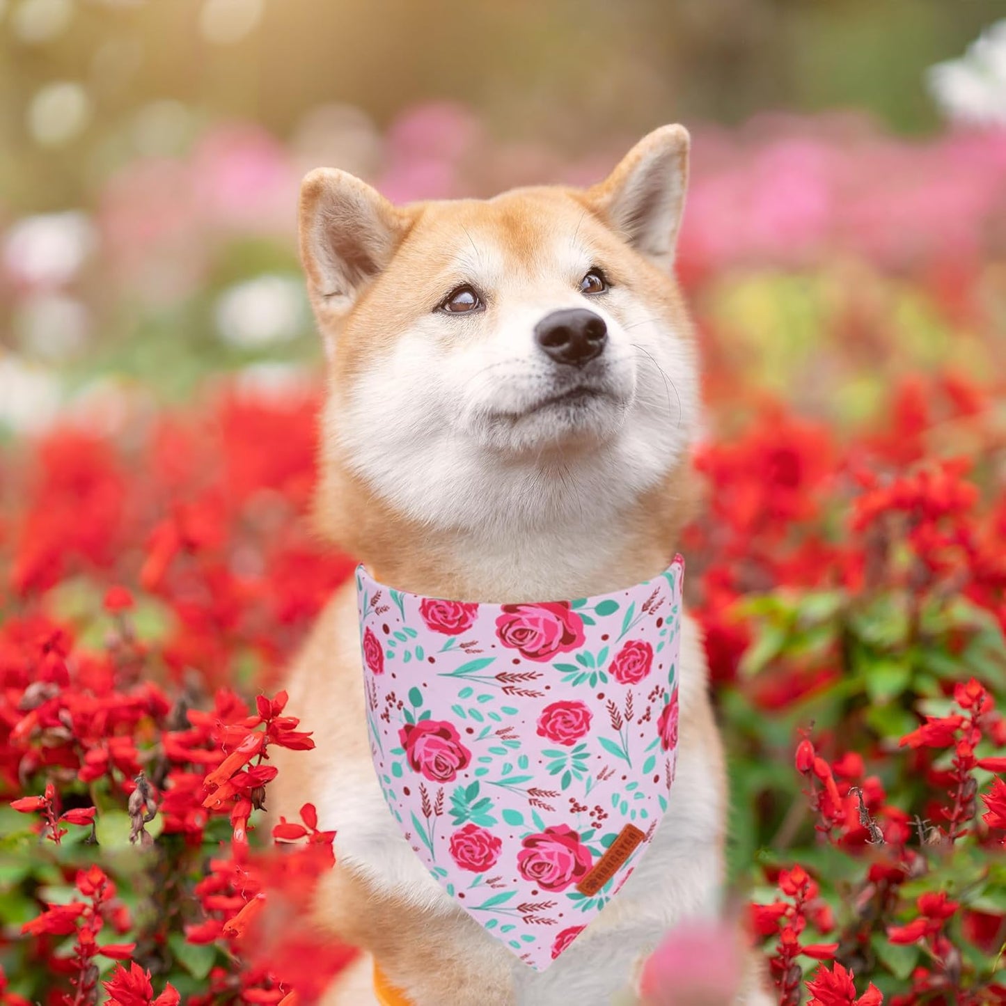 ADOGGYGO Floral Dog Bandana, Red Yellow Rose Pet Scarf, Adjustable Fit Flower Bandanas for Medium Large Dogs Pets (Large)