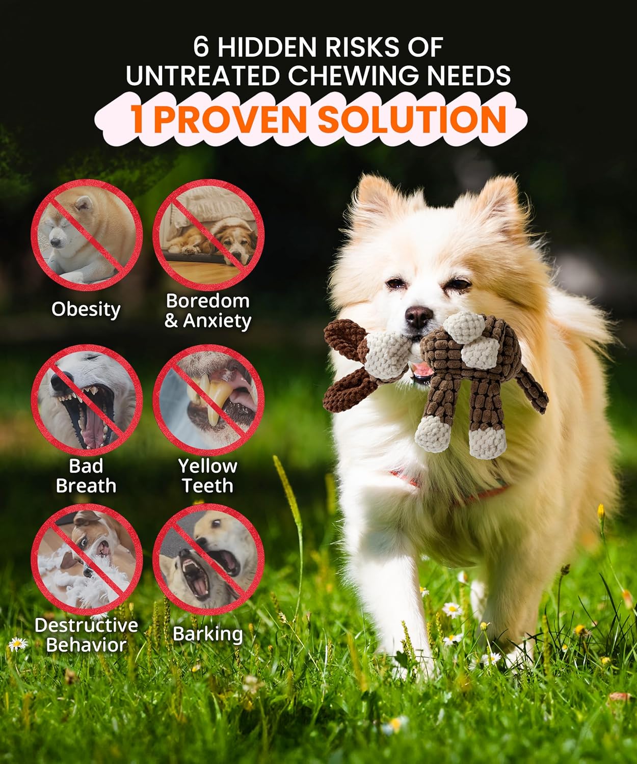 Squeaky Plush Dog Toys - Adorable Animal Designs with Soft Cotton Filling, Cute Stuffed Dog Chew Toys for Small, Medium Non-Aggressive Chewing Dogs Chewer (Brown Dog)