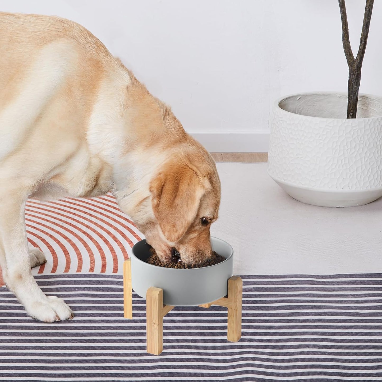 6'' Ceramic Raised Dog Bowl - 30Oz Dog Food & Water Bowl with Elevated Non-Slip Bamboo Stand, Dishwasher & Microwave Safe, Anti Vomiting Heavy Duty Pet Bowl for Small and Medium Dogs, Grey
