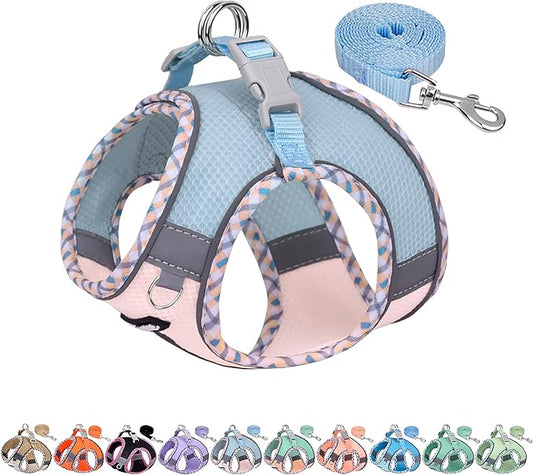 AIITLE XXS Dog Harness & Leash Set - Breathable Reflective No-Choke Small Dog Harness for Teacup Puppies, Indoor/Outdoor Use - Boston Terrier, Maltese, Chihuahua (Blue-Pink, XXS)
