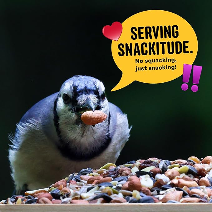 Nut & Fruit Wild Bird Seed – 10 lb. Gourmet Bird Food with Sunflower Hearts, Peanuts, Tree Nuts & Real Fruit – No Corn, Milo or Millet Bird Seed for Outside Feeders