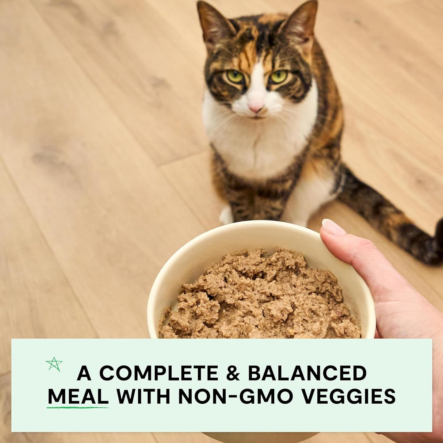 Open Farm Canned Cat Food, Pate for Complete & Balanced Nutrition, Grain Free and Legume-Free Wet Cat Food, Harvest Chicken Recipe, 5.3oz Cans (Case of 12)