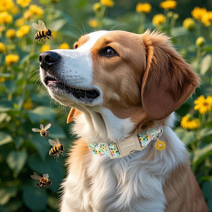 DOGWONG Flower Cotton Dog Collar, Spring Summer Cute Yellow Dog Collar Durable Soft Fabric Pet Dog Collars Female Girl Necklace for Small Medium Large Dogs