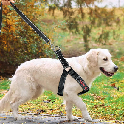 Personalized Dog Harness - Custom No Pull Pet Harness with Name and Phone Number - Adjustable Dog Vest with Reflective Strips