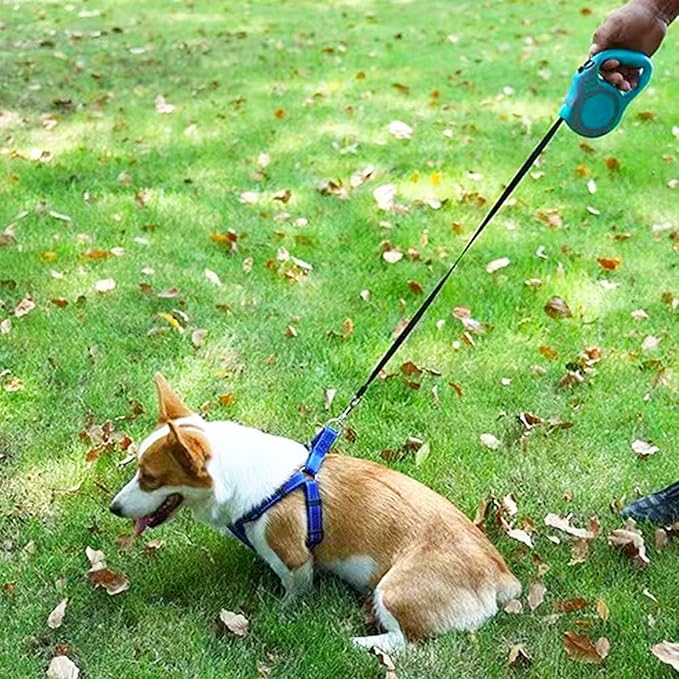 Retractable Dog Leash Lightweight 10/16FT Leash with Non-Slip Handle, for Small Dogs Puppy(Gray Pink, 10FT)