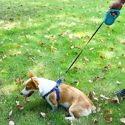 Retractable Dog Leash Lightweight 10/16FT Leash with Non-Slip Handle, for Small Dogs Puppy (Gray Blue, 10 FT)