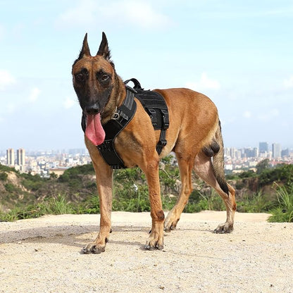 ICEFANG Tactical Mesh Dog Harness for Medium Dogs,Reflective Dog Molle Vest with Metal Buckles,Hook and Loop Panels,No Pulling Front Clip for Walking Hiking Training (Medium (Pack of 1), Black)