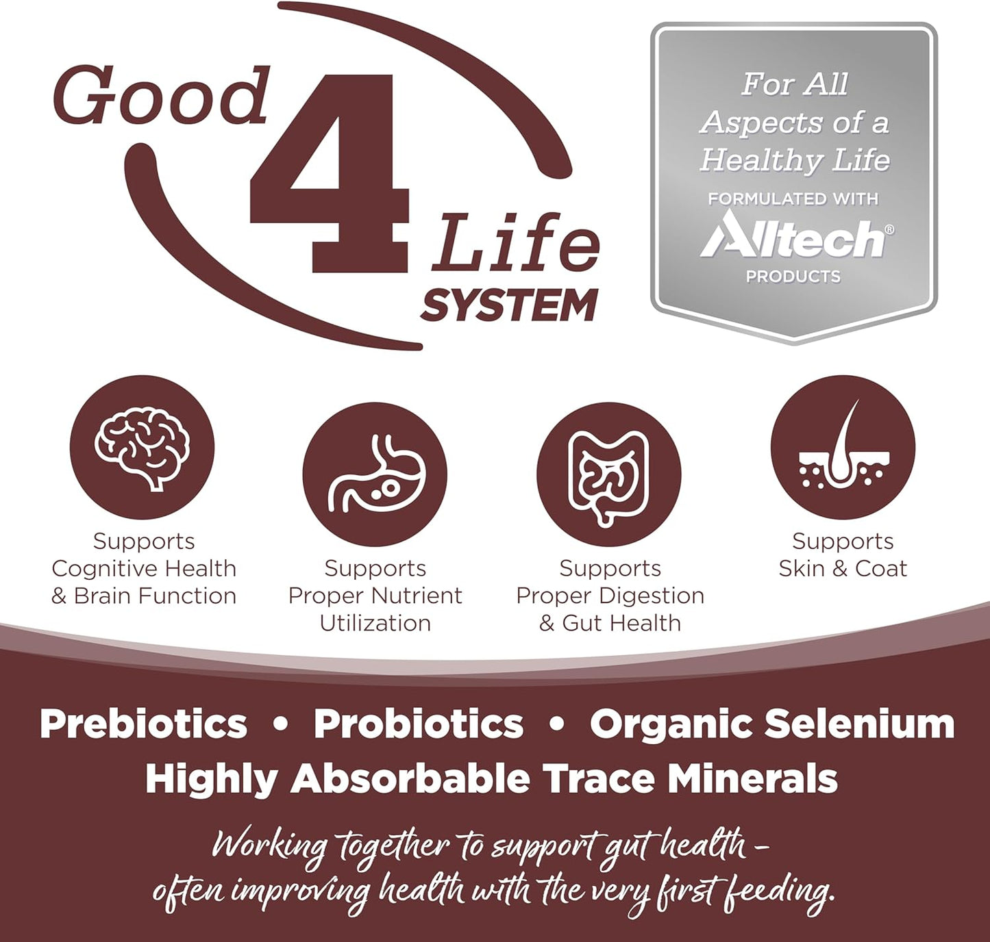 NutriSource Grain Free Prairie Select Recipe Dog Food, Premium Wet Dog Food, 12.3 Ounce (Pack of 12)