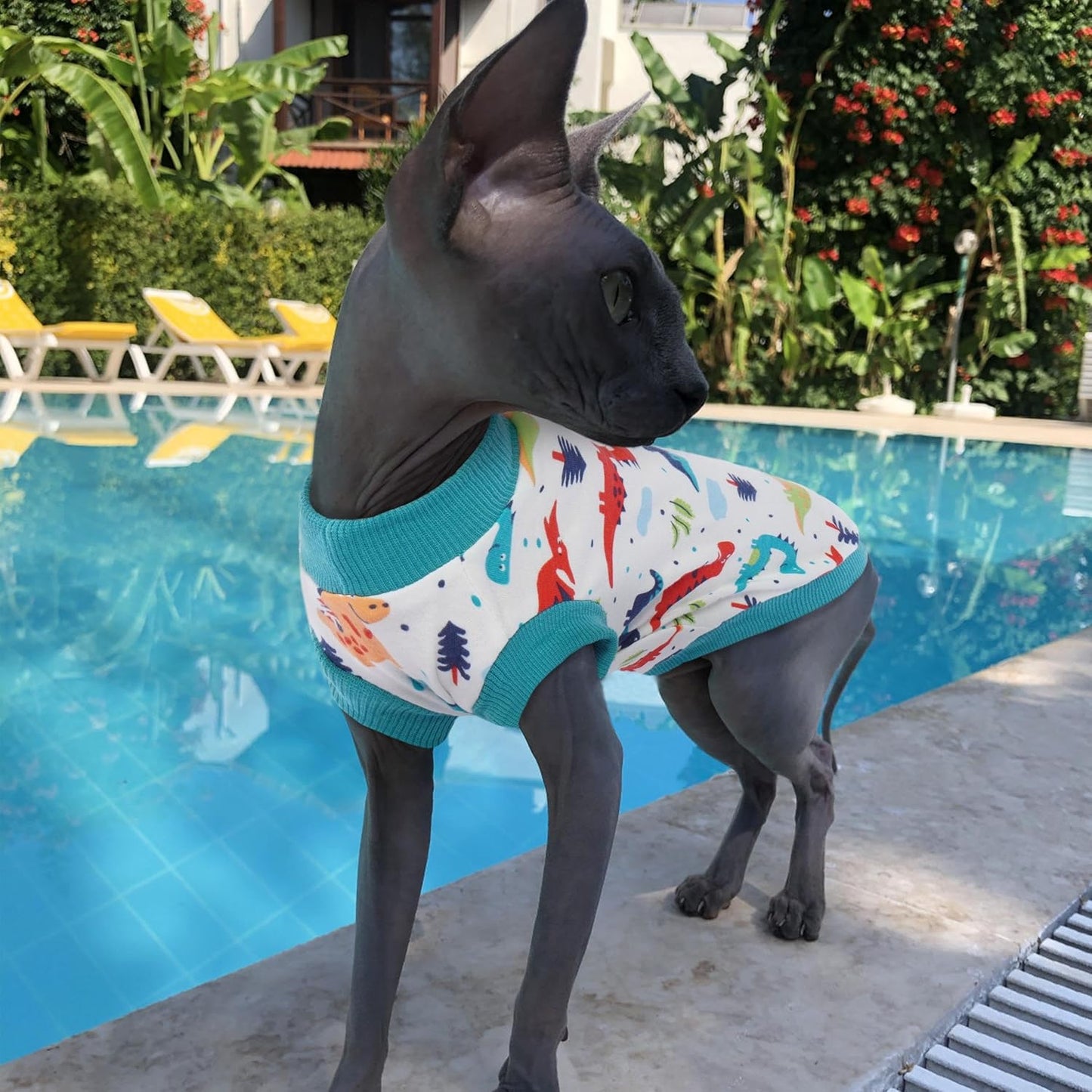 PUMYPOREITY Sphynx Cat Clothes: Stretchy Sweater, Soft Hairless Shirt, Pullover Pajamas, Turtleneck for Sphynx Cornish Rex, Devon Rex - Blue, XS