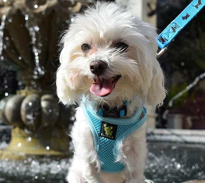 EcoBark Step in Dog Harness - Eco-Friendly Teacup Dog Harnesses for XXS, XS, and Small Dogs - Reflective and Adjustable Mini Body Halter Vest -Tiny Soft Mesh - Toy Breeds Under 5 lbs (Baby Blue, XXS)