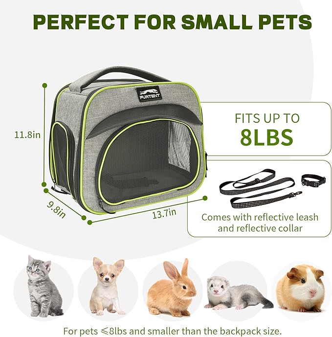 Guinea Pig Cage, Breathable and Collapsible, Small Pet Bag with Safety Leash - for Puppy, Kitten, Bunnies Weighing up to 8 Pounds Designed for Travel, Hiking, Walking and Outdoor Use, Gray Green