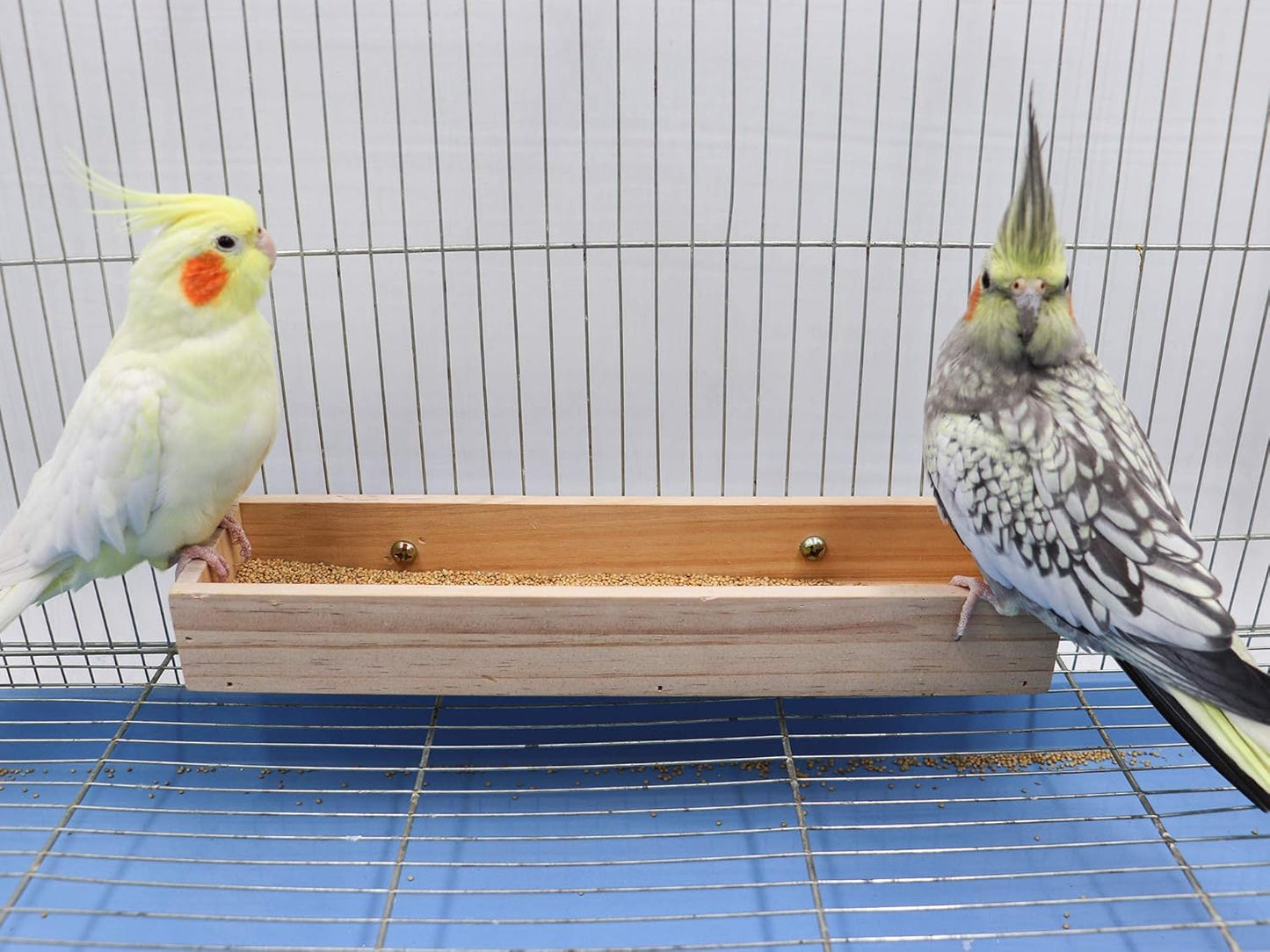 Bird Feeding Cups, Natural Wooden Parrot Perch Stand, Birds Food Dish, Parakeets Feeder Bowl, Cage Accessories for Small Animals Rat Hamster Guinea Pig Chinchillas Budgies Cockatiels Love Birds