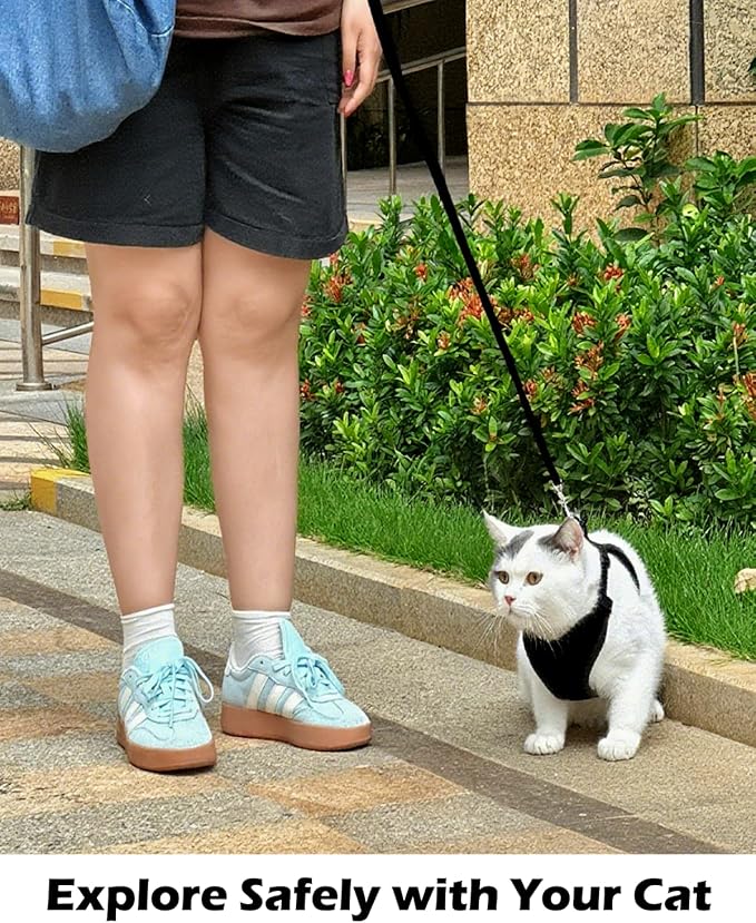 Luxelle 2 Pack Escape-Proof Cat Harness and Leash Set for Walking – Adjustable No Pull Soft Vest with Easy-Wear Buckle, Reflective Straps, Breathable Mesh – Outdoor Travel Harness for Cats & Kittens
