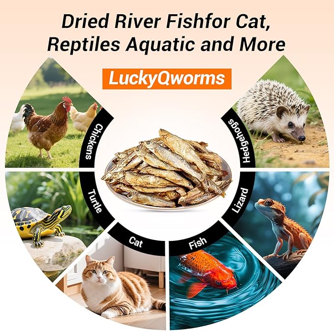 Dried Freshwater Fish, 1 Lbs Resealable Bag - Natural High-Protein Food for Turtles, Reptiles, Large Tropical Fish, Cats, Small Pets and Chicken - Crude Protein 30% Min