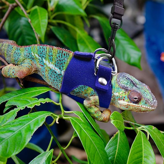 Bearded Dragon Harness and Leash Set, 3 Size Adjustable Soft Leather Reptile Leash, Lizard Harness with Retractable, Small Animal Outdoor Walking Vest with Traction Rope, 3 Pack (Blue)