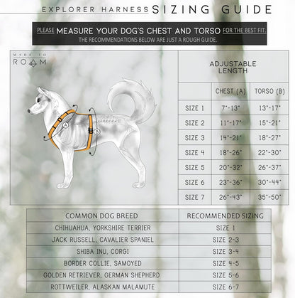 MADE TO ROAM Premium Explorer Harness - Y-Shaped Dog Harness with Adjustable Durable Nylon, Soft Padding, Metal Buckles and Leather Handle for Small, Medium, Large Dogs (Carolina Blooms, Size 6)