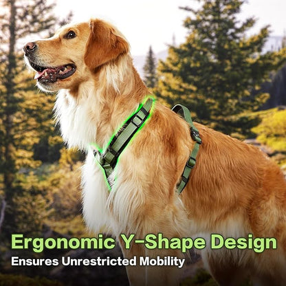 PawsPassion Dog Harness for Medium Dogs, No Pull Dog Harness Easy Walk with Metal Hardware, Ergonomic Y-Shaped Design, Soft Padding, Padded Handle, Durable High-Tensile Nylon (Evergreen, M)