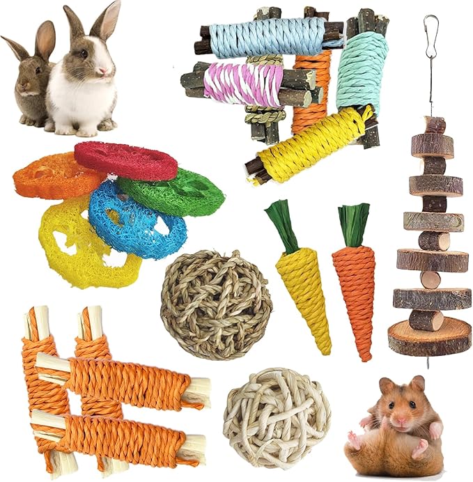 Toys for Rabbit Toys Bunny/Guinea Pig Toys,Bunny Chew Toys for Teeth, Natural Rabbit Toys Apple Wood,Handmade for Guinea Pig Hamster Rat Chinchilla Small Animals Teeth Grinding 20 Pack