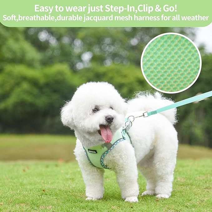 AIITLE XXS Dog Harness & Leash Set - Breathable Reflective No-Choke Small Dog Harness for Teacup Puppies, Indoor/Outdoor Use - Boston Terrier, Maltese, Chihuahua (Sage, XXS)