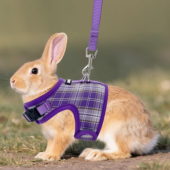 AIITLE Adjustable Bunny Harness & Leash Set - Soft Mesh Liner, Comfort Fit Plaid Pattern Vest with Magic Tape Design, Portable for Small Animal Pets Rat Squirrel Ferret Puppy Cat, Purple L