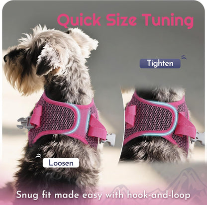 Eagloo Small Dog Harness and Leash Set, Step in Puppy Vest with Breathable Soft Mesh, Walking Reflective Pet Harness for Medium Small Dogs, Rose Red, M