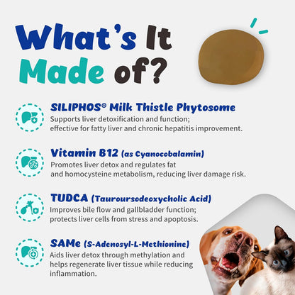 Liver Alive Metabolism System Health for Dogs and Cats - Function, Fatty, Detox, Chronic Hepatitis with SILIPHOS®, TUDCA, Same Vegan Bacon Flavor (60ml)