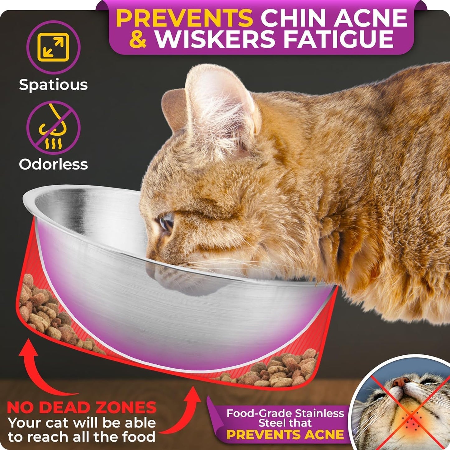 Raised cat Bowls for Indoor Cats by WinTruffles, Elevated cat Bowls, Tilted and Elevated Anti Vomiting Cat Dishes for Food and Water, Set of 2 Stainless Steel Bowl