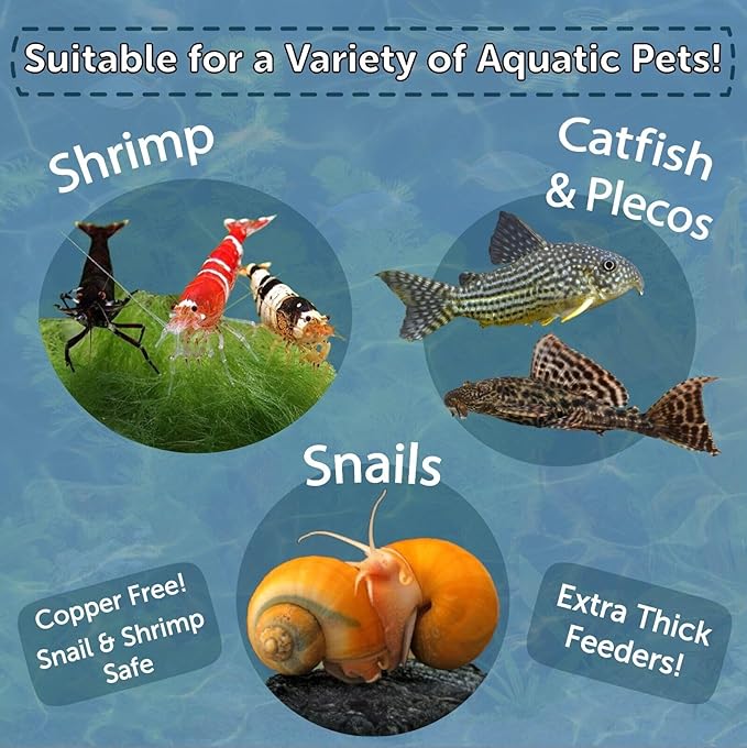 Aquatic Foods Inc. Spirulina Enriched Calcium Feeders for Shrimp, Snails, Crabs, Crayfish, Pleco, Catfish, All Tropical Fish…35 Count Sm Jar