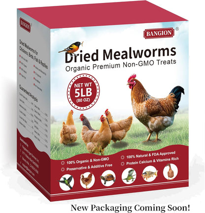 Organic Dried Mealworms for Chickens 5 LB Natural Non-GMO Mealworms High Protein Chickens Feed Meal Worms for Chicken Wild Birds Bluebirds Ducks Turtles Reptiles Laying Hens Treats & Food