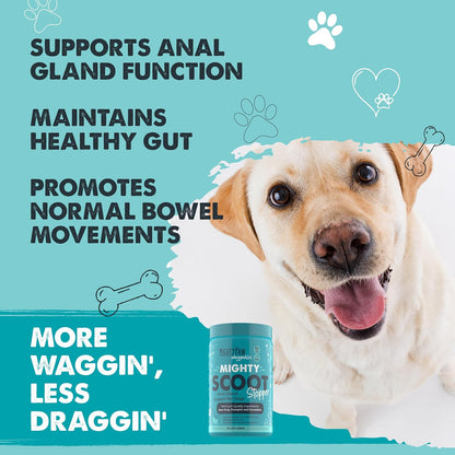 Mighty Paw Waggables Mighty Scoot (Made in USA) | Dog Digestive Support Anal Gland Chews. Anal Gland Scoot for Dogs. Beet Pulp & Pumpkin Fiber Supplements. Pet Bowel Gut Health (120 Count)