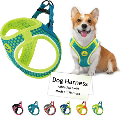 DOCO Dog Harness for Small Sized Dog - Athletica Adjustable, No Pull, No Choke, Puppy Vest Lightweight Air Mesh, Reflective, Puppy Essentials – Turquoise, Small (Chest 14.5"-15.5", Weight 6–10 lbs)