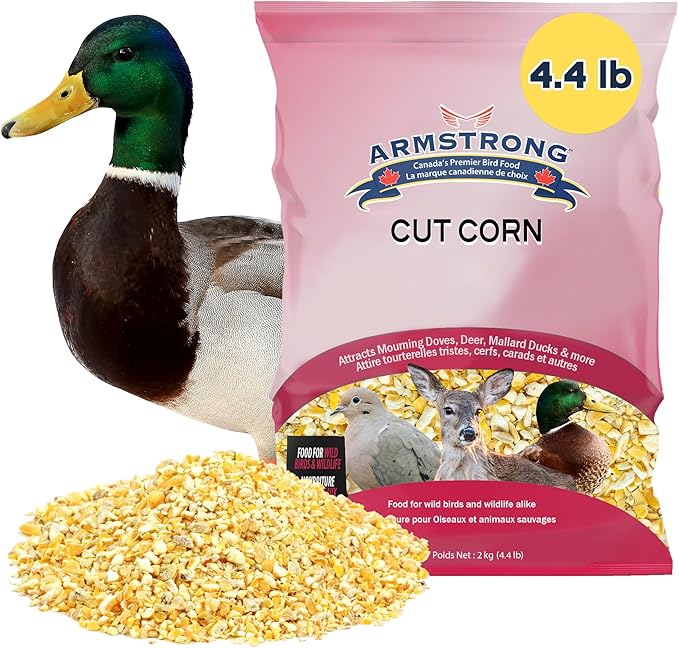Armstrong Wild Bird Food Cut Corn, 4.4 Pounds - Premium High-Energy Feed for Mourning Doves, Blue Jays, Ducks & Deer - Ideal for Backyard Feeders, Ground Feeding & Outdoor Wildlife