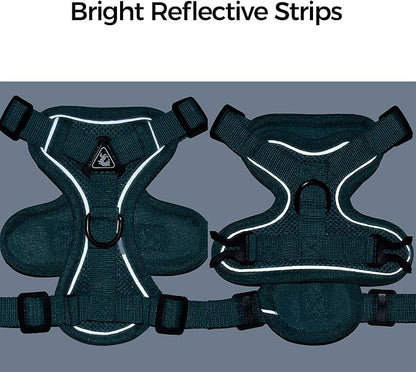 Cat Harness and Leash Set Escape Proof Tactical Extra Large Kitten Harness Emotional Support Cat Vest, Turquoise, XL