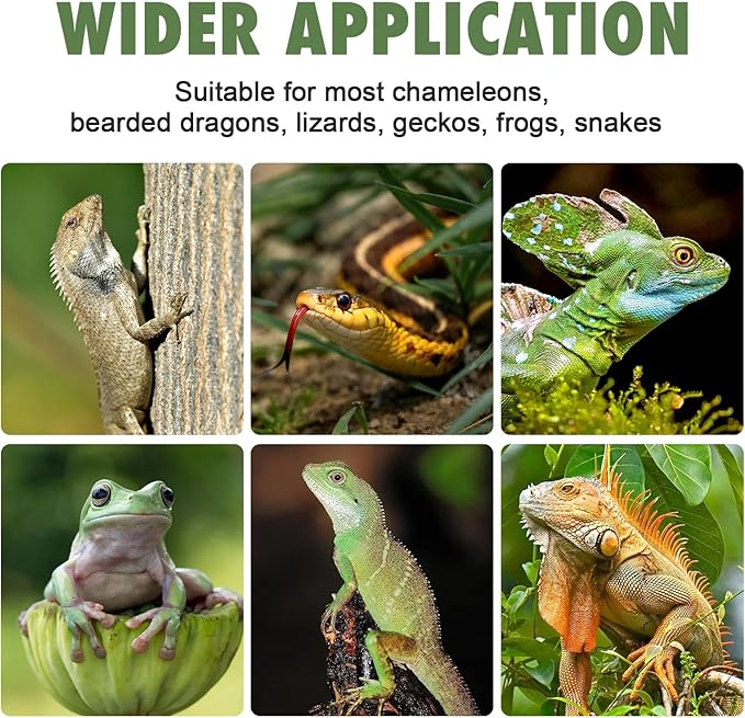 Chameleon Feeder Box with Suction Cups, Acrylic Feeding Bowl for Bearded Dragon, Wall-Mounted Insect Feeder for Lizard, Iguana, Gecko, Frog