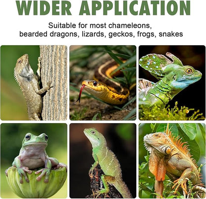 Chameleon Feeder Box with Suction Cups, Acrylic Feeding Bowl for Bearded Dragon, Wall-Mounted Insect Feeder for Lizard, Iguana, Gecko, Frog