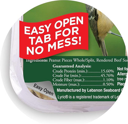 Lyric Peanut Pieces High Energy Suet Cakes for Wild Birds, 12 oz. (12 Pack)