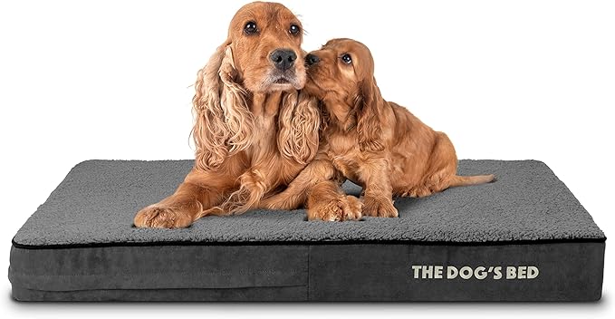 The Dog’s Bed Orthopedic Memory Foam Dog Bed, Large Grey Plush, Pain Relief for Arthritis, Hip & Elbow Dysplasia, Post Surgery, Lameness, Supportive, Calming, Waterproof Washable Cover
