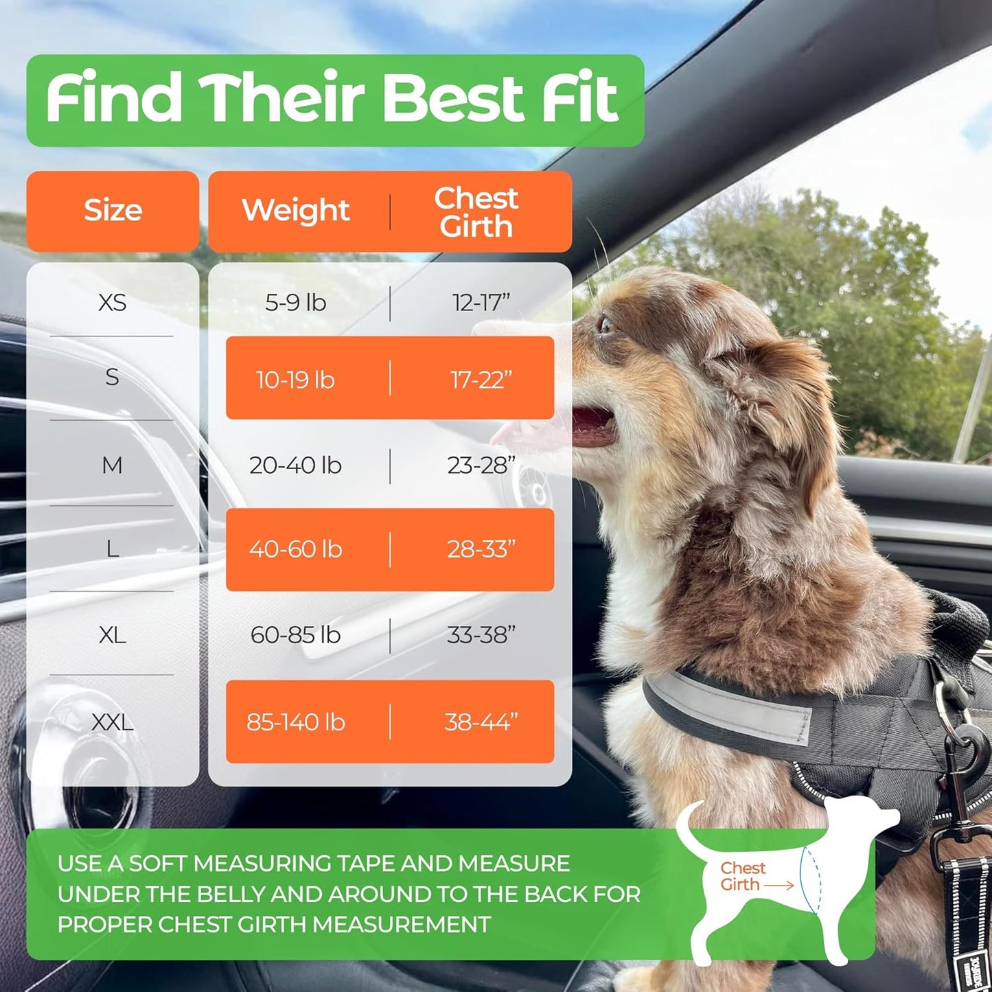 Joyride Basic Essential Dog Harness 1.0 - Small, Medium, Large Dogs, No-Pull Pet Vest with 3 Side Rings for Leash Placement, Adjustable for Training (Winter Snowman, M)