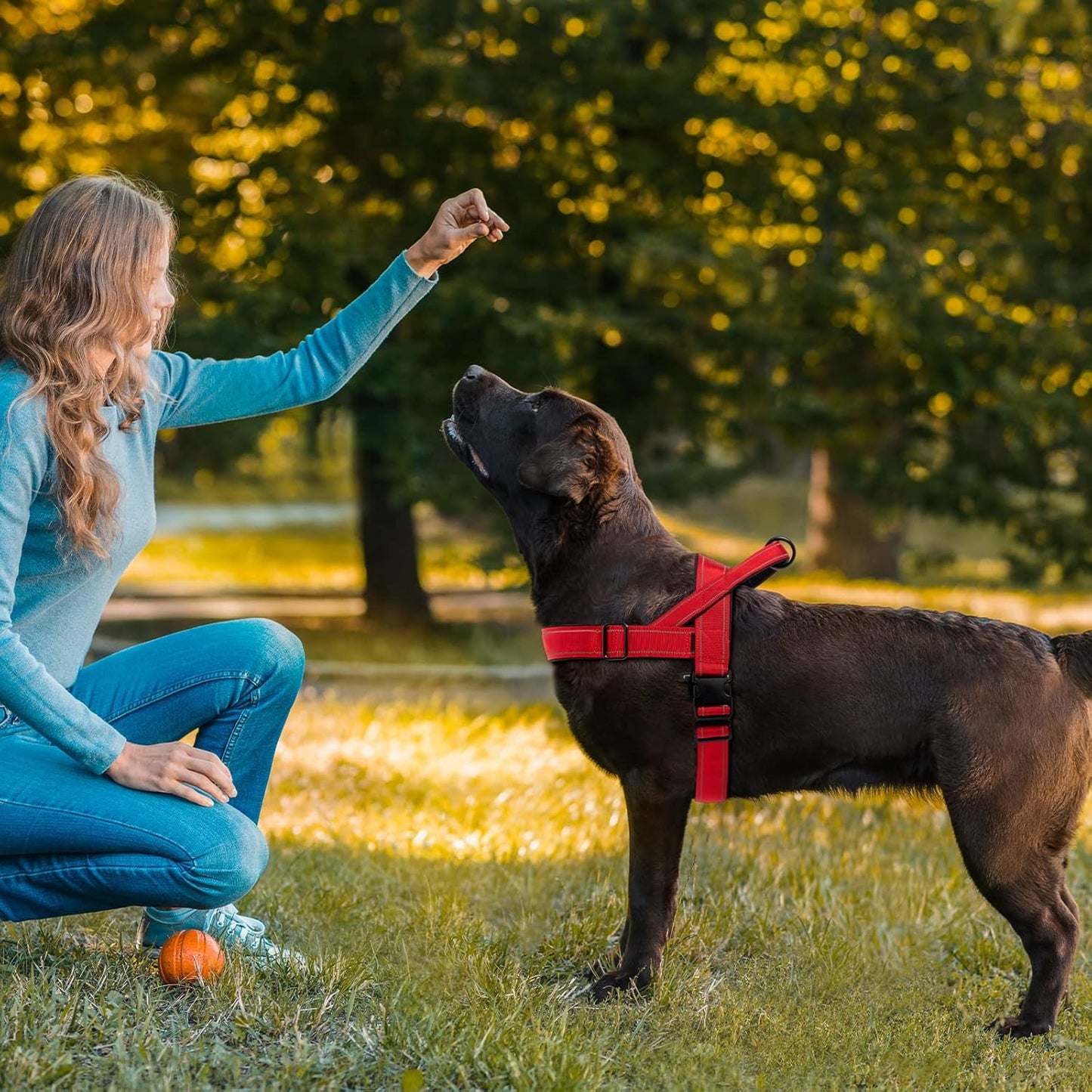 Red No Pull Dog Harness for Small Medium Large Sized Dog, Reflective Escape Proof Adjustable Dog Harnesses with 2 Patch, XL
