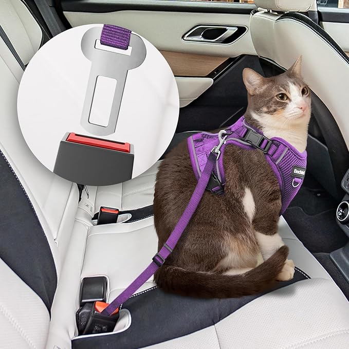 Kitten Harness and Leash Seat, The Upgrade Can be Adjusted in Four Directions and Breathable Cat Harness for Anti Escape That can be Fitted and Positioned, Reflective Strips Harness, Purple,XXS