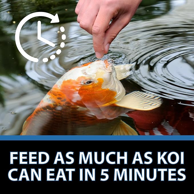 CrystalClear Platinum Fish Food, Premium Floating Pellets for Koi & Goldfish – Boost Growth, Color, and Wellness in Backyard Ponds & Water Gardens, 3mm Pellets, 4.4 Pounds