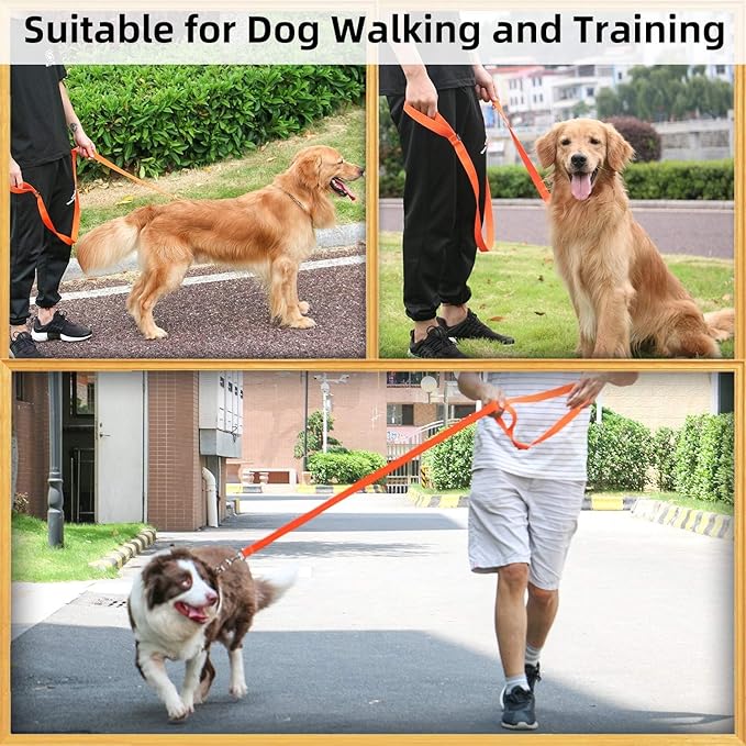 AMAGOOD 6 FT Puppy/Dog Leash, Strong and Durable Traditional Style Leash with Easy to Use Collar Hook, Great for Small, Medium and Large Dogs (3/4 in x 6 ft, Black and Orange 2-Pack)