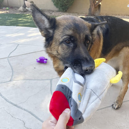 Jalousie Multipack Dog Squeaky Toys Strong Almost Indestructible, with Added Liner for Longer Play Dog Chew Toys (6 Pack Spaceship Hide and Seek)