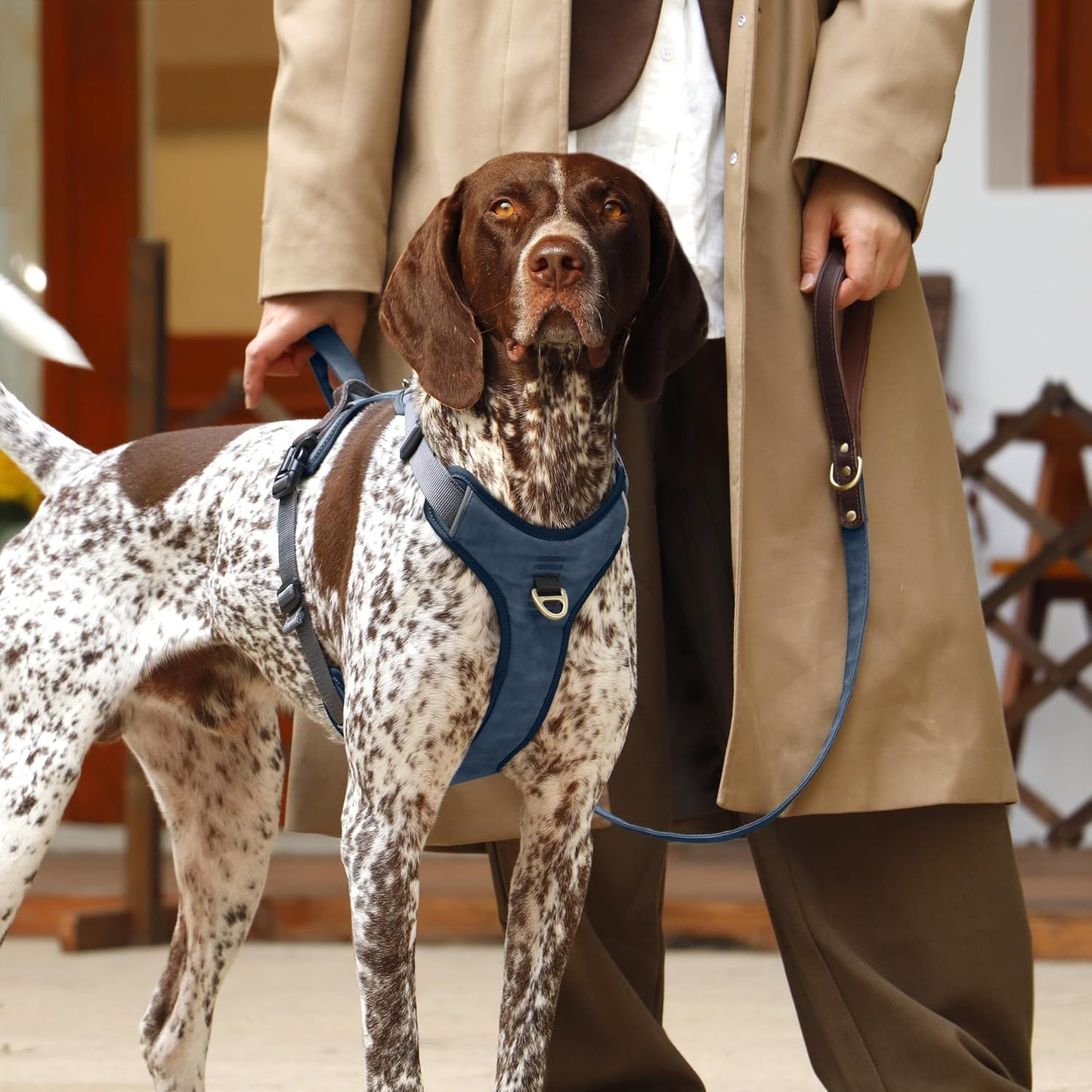 No Pull Dog Harness Medium Sized Dog,Stylish PU Leather Vest with Easy Control Handle,No Choke Front Clip with 2 Metal Leash Clips,Reflective & Adjustable for Walking,Blue,Chest 27-33"